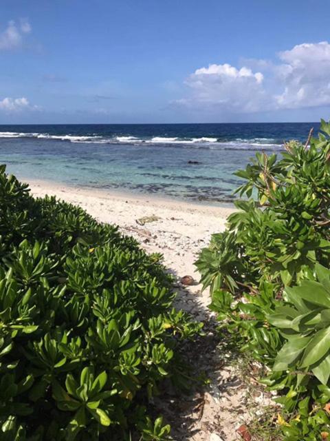 Moorea Temae Villa Walking Dist Beach And Golf מראה חיצוני תמונה